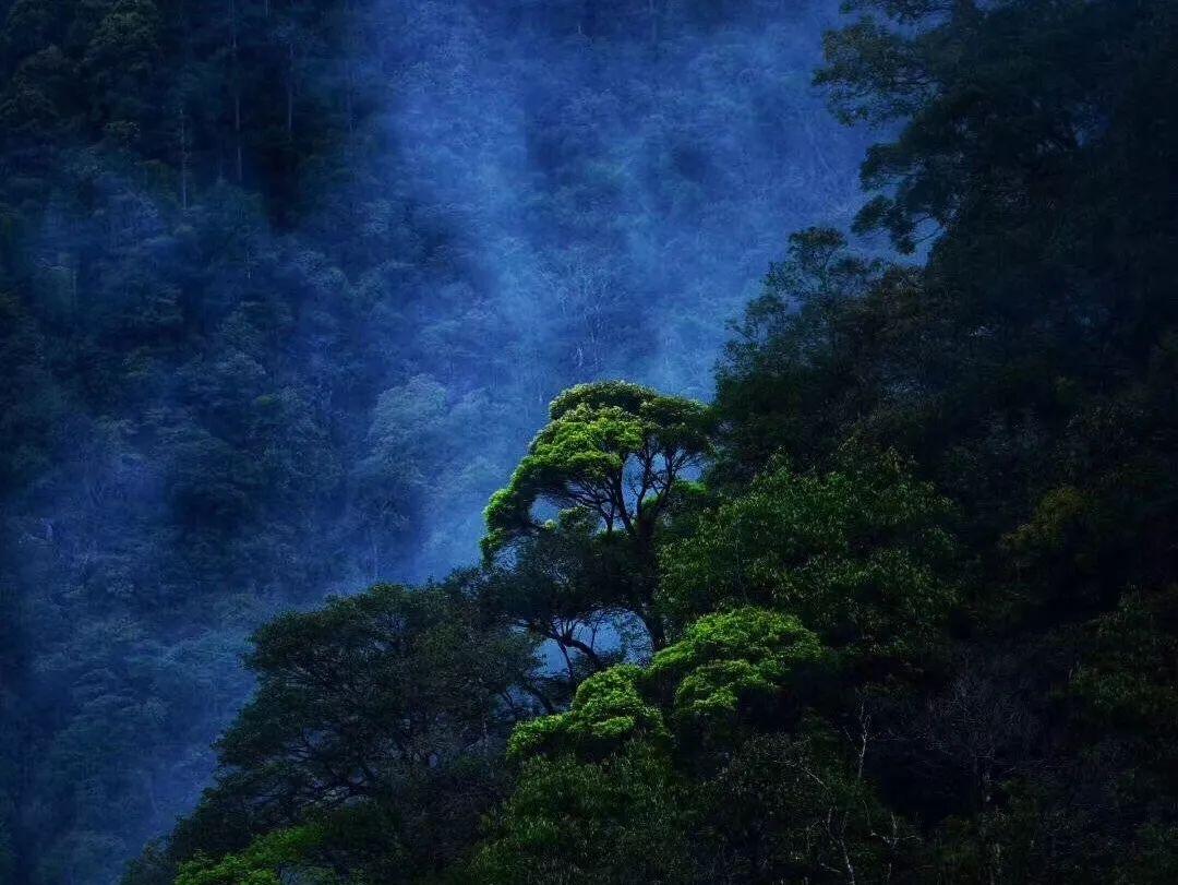 网贷逾期了还能乘坐高铁吗？游戏画面
