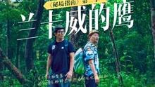 小猫钓鱼开船版最新版下载