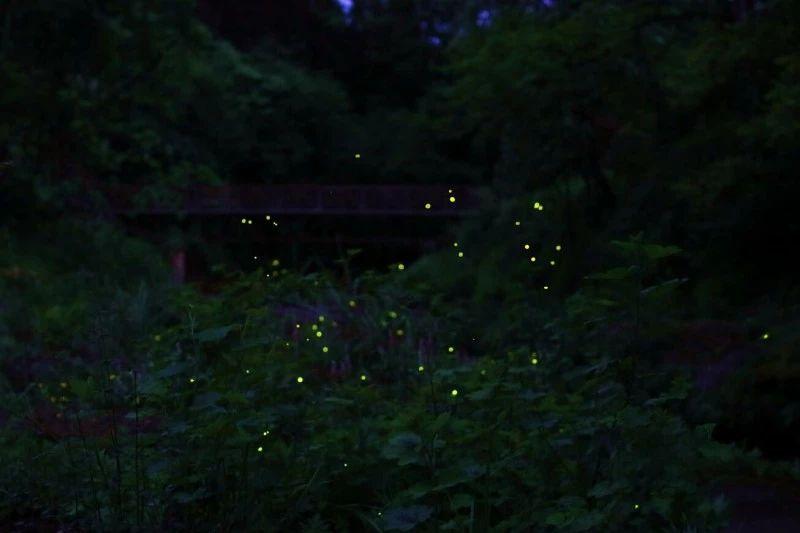 未知岛屿