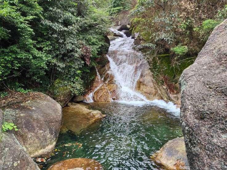 森系丛林